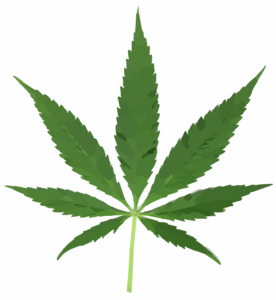 Weed Seeds Australia