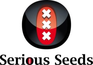 pot seeds australia