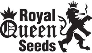 ganja seeds australia